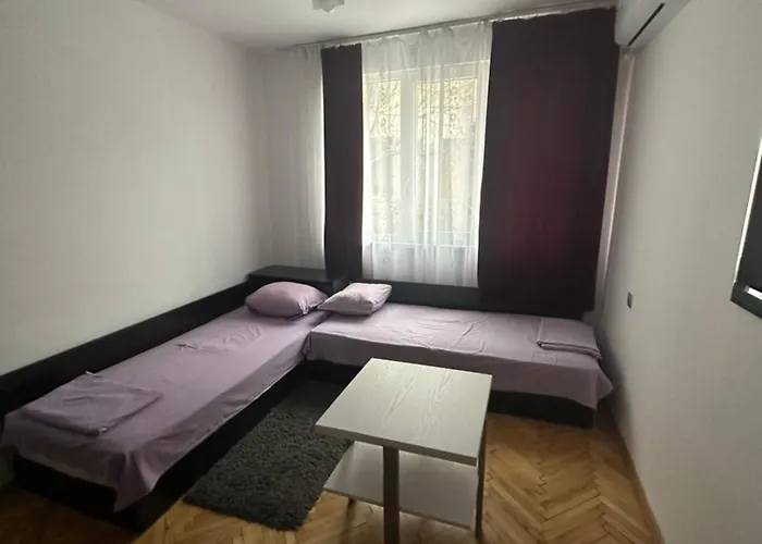 за гости моника *